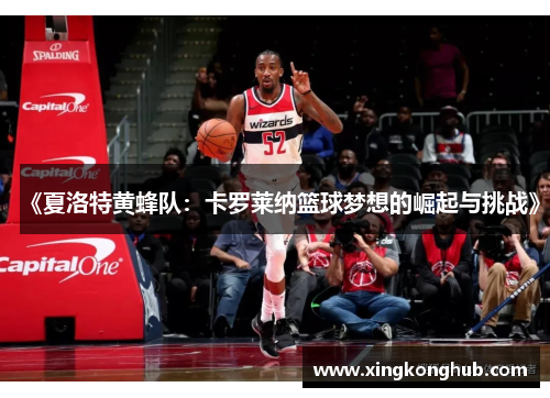 《夏洛特黄蜂队：卡罗莱纳篮球梦想的崛起与挑战》
