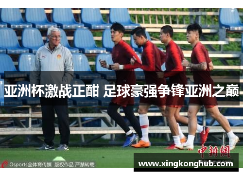 亚洲杯激战正酣 足球豪强争锋亚洲之巅