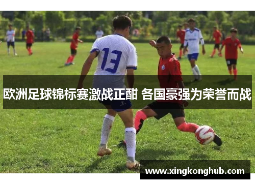 欧洲足球锦标赛激战正酣 各国豪强为荣誉而战