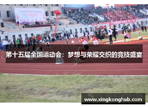第十五届全国运动会：梦想与荣耀交织的竞技盛宴